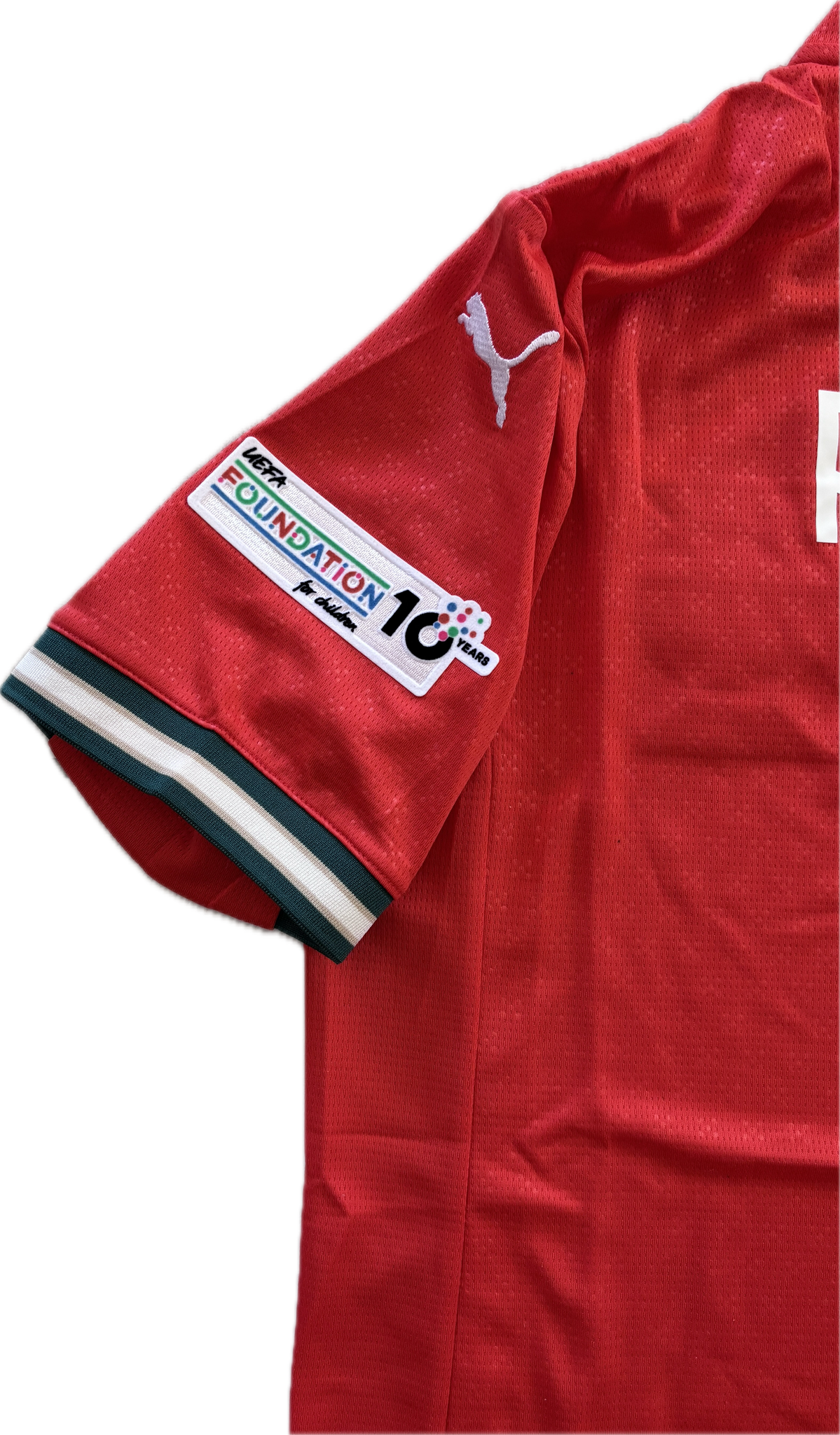 Cristiano Ronaldo 7 Euro Portugal Puma Short Sleeve MENS Jersey Cristiano Ronaldo 7 Euro Portugal Puma Short Sleeve MENS Jersey